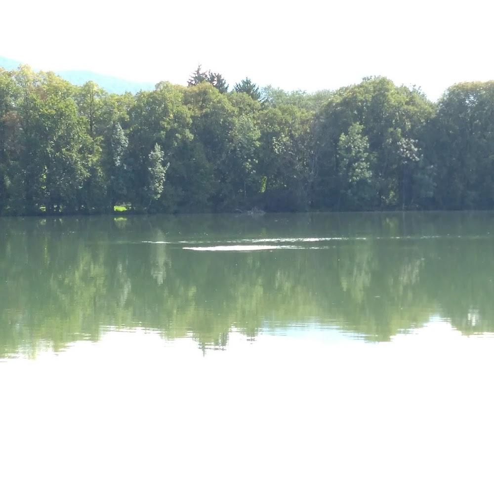A still lake with trees reflecting in the water.